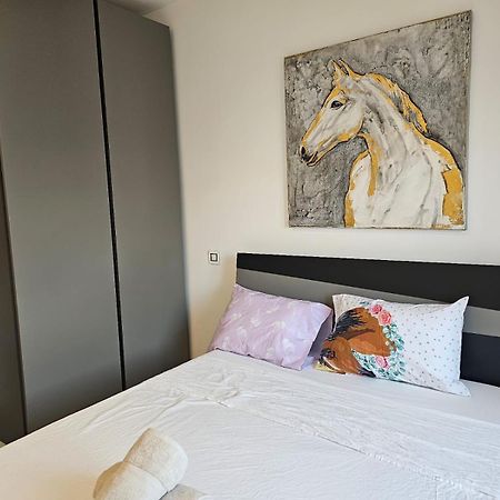 Modern Elegance Valletta Apartment 外观 照片